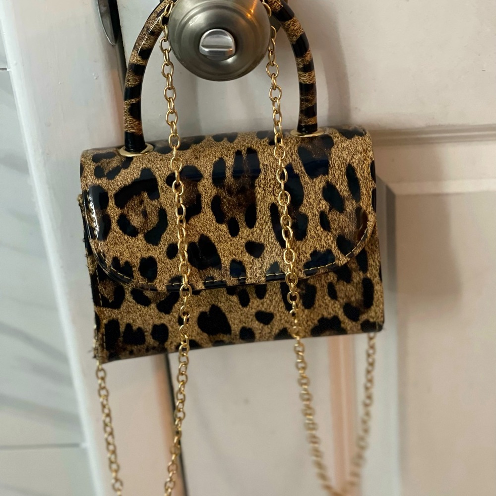 Nice small bag for a girls night out.